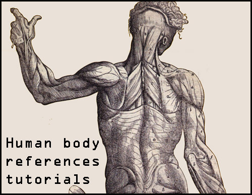 Library reference-Humans