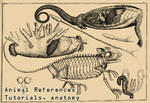 Library reference-Animals by ArtistsHospital Library reference-Animals by ArtistsHospital