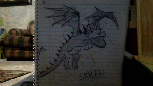 How to train your dragon SKRILL