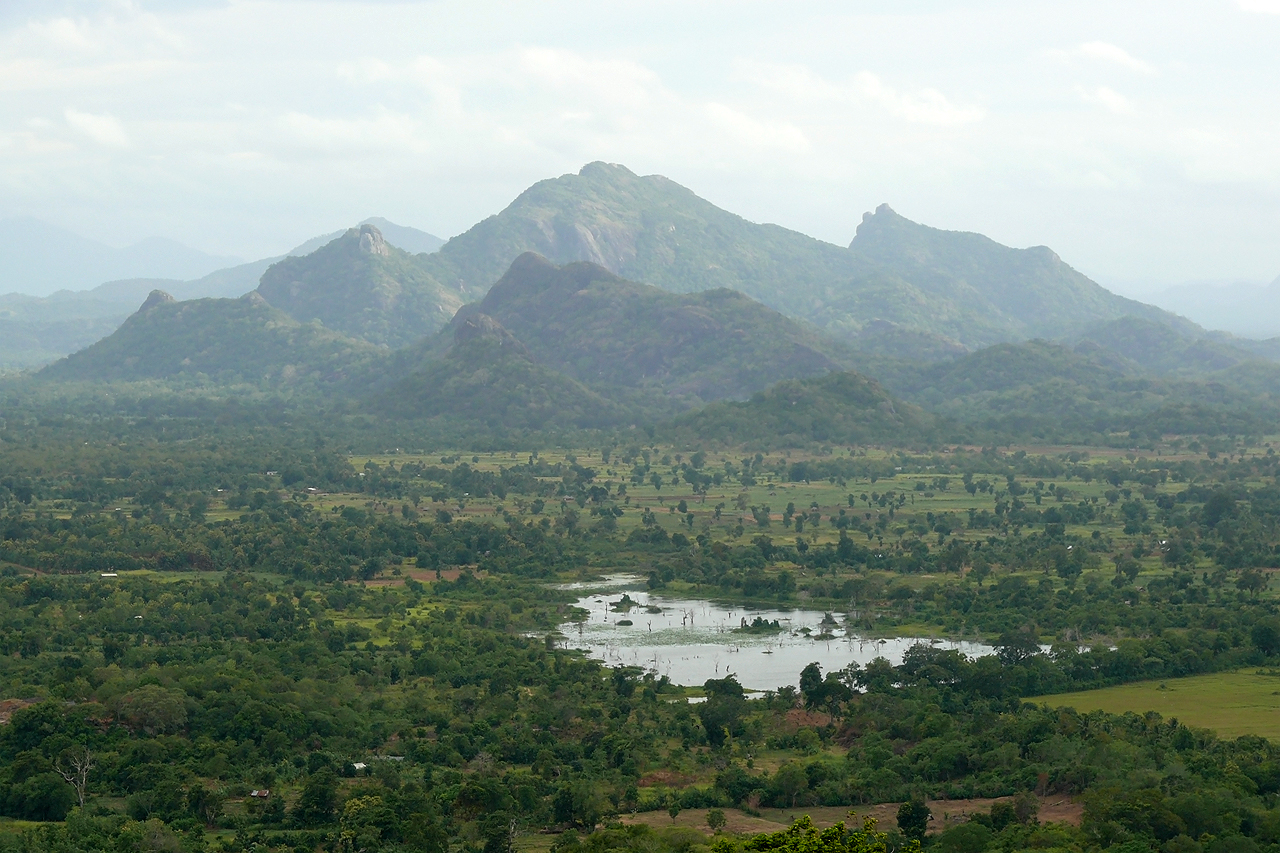 View from Sigiriya