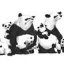 Panda Family