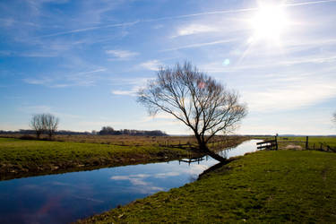 dutch fields