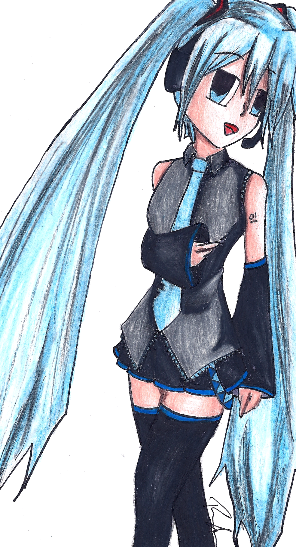 Hatsune Miku the Vocaloid