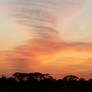 Roseworthy Sunset 2009 A