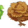 Seasonal Pixel Trees