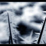 Ice grass 2