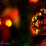 Christmas 02