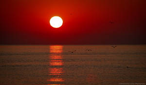 Black Sea Sunrise