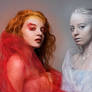 Twins of Fire and Ice