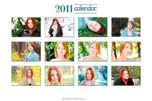 2011 Calendar