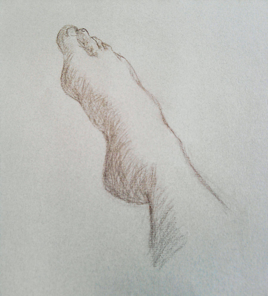 realistic foot