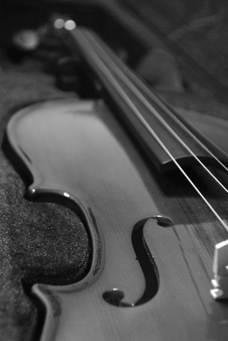 Violin in Black and White by AestheticIndulgence on DeviantArt Violin in Black and White by AestheticIndulgence on DeviantArt