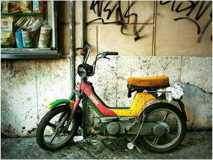 rasta piaggio