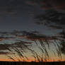 Clouds on the sunset