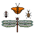 insectarium px