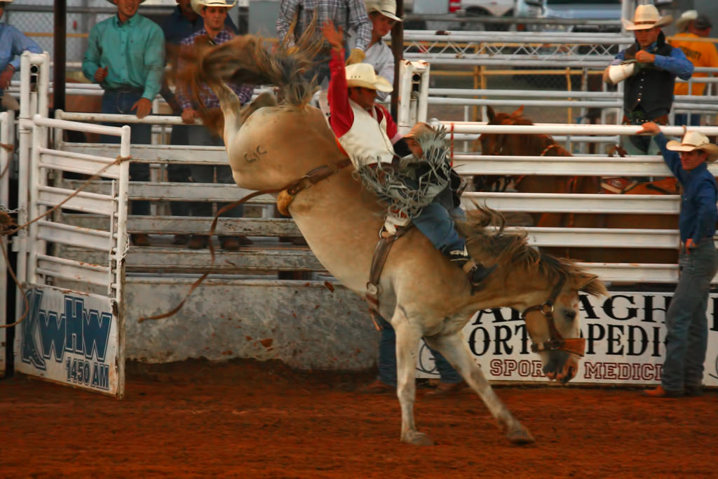 Bumpy ride by Steve38 on DeviantArt