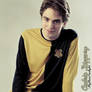 173. Cedric Diggory