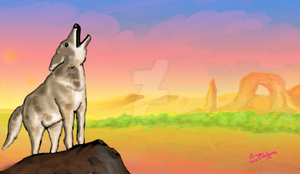 Coyote Sunset Version3