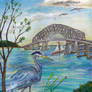 Blue heron by Key bridge