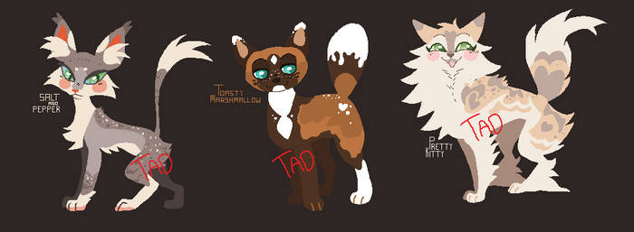 ms paint cat adopts [2/3 open]