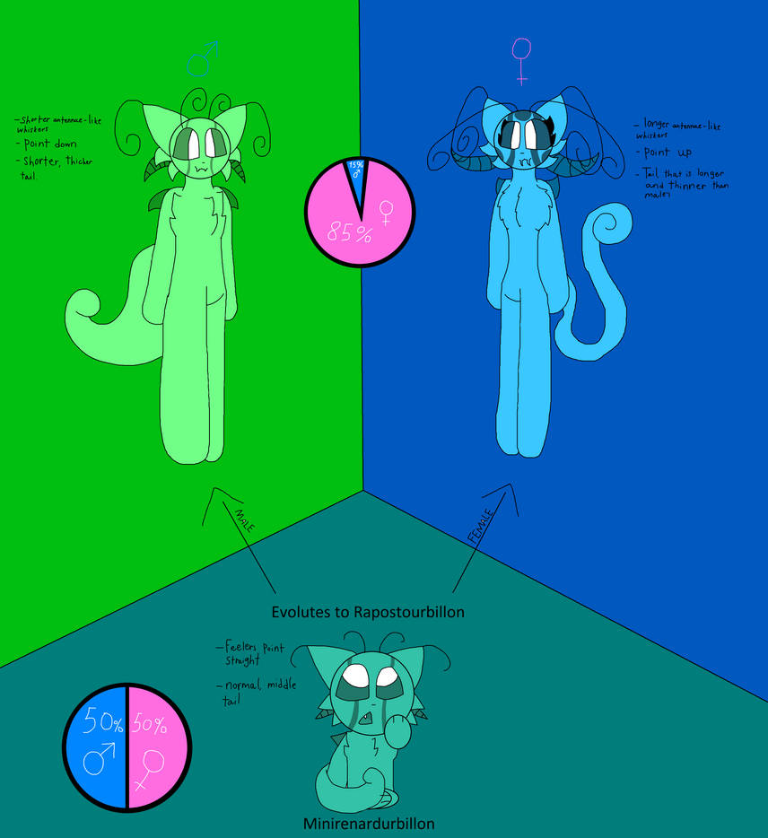 Evolution Chart Deviantart Rapostourbillon evolution chart by LisaAnimatube on DeviantArt