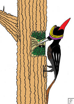 Goggled Woodpecker Make Green Man Colored
