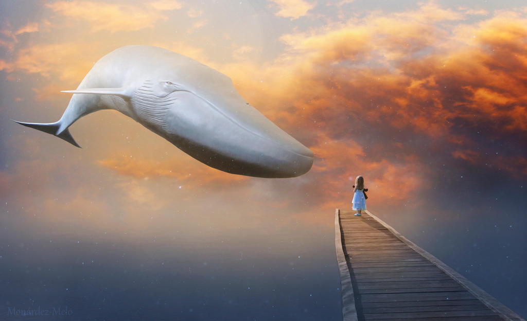 Flying Whale by MonardezMelo