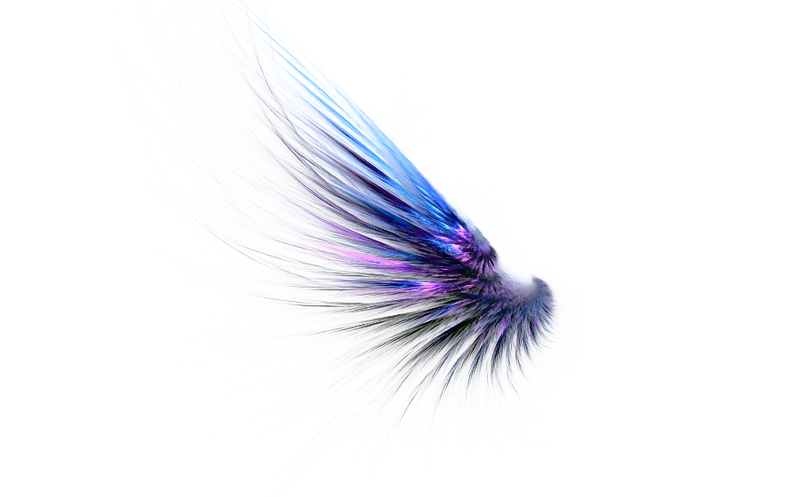 Feathered wing Fractal Stock