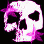 stars ans skull