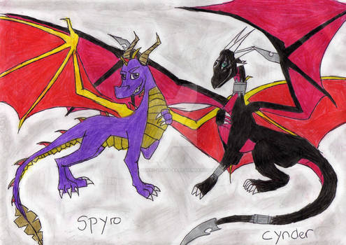 spyro and cynder: we didnt...