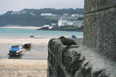 St. Ives