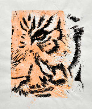 Tiger Linocut 2 colors