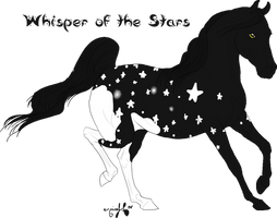 Whisper of the Stars