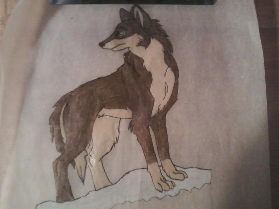 Anime Balto