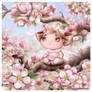Apple blossom fairy