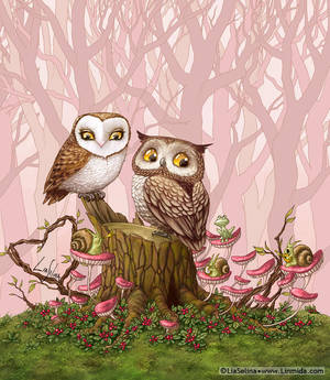 Owl Love