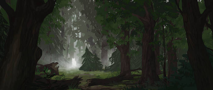 Misty Forest