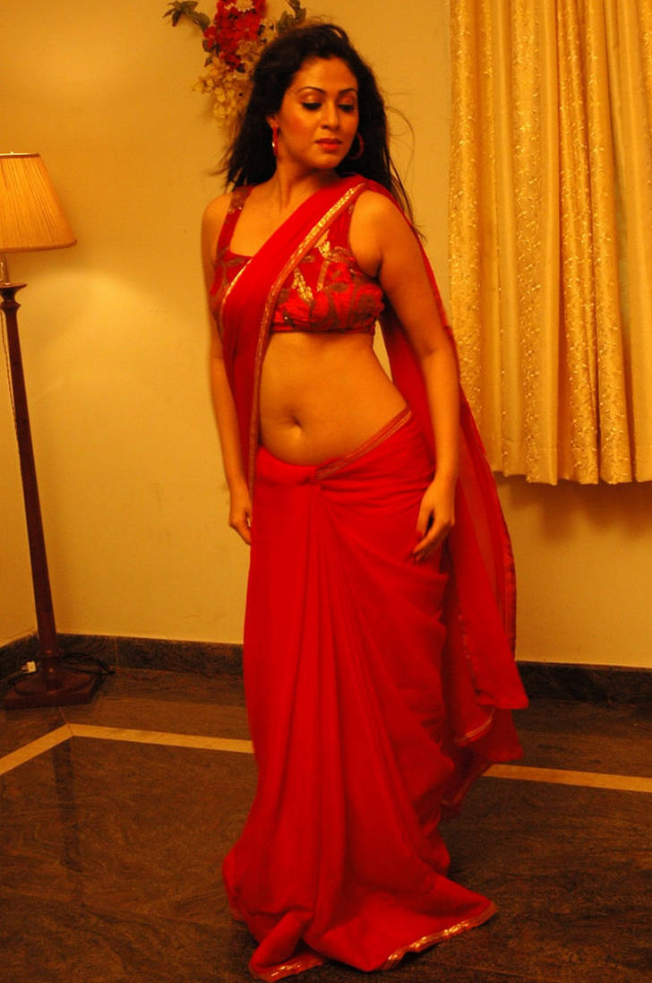 Sada Hot Navel Pics7 By Daivik123 Sada Hot Navel Pics7 By Daivik123