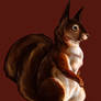 Red Squirrel