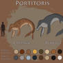 Portitoris