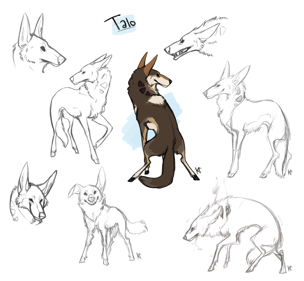 Talo Sketch Page