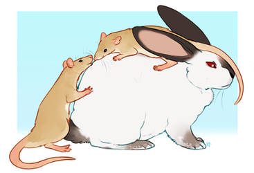 Buddies