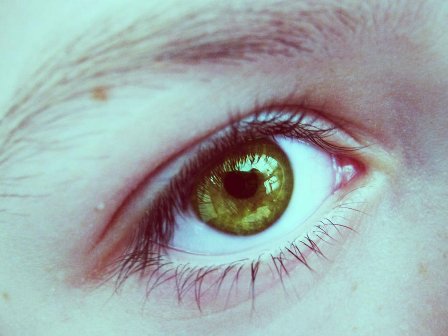 Have One Look One look by RedRoses9 on DeviantArt