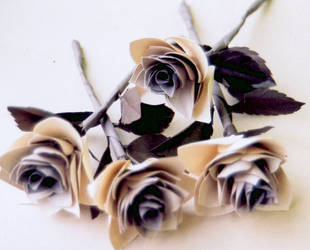 paper roses