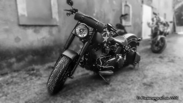 Passion Harley 001