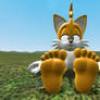 Tails' Feet Tease