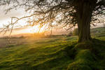 Spring Sunrise by adamstephensonscfc