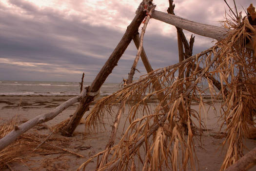 Beach House