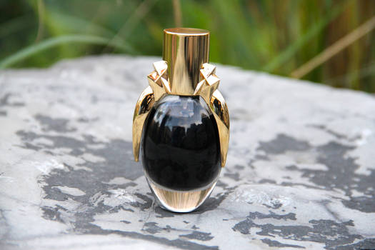 Lady gaga's the Fame Perfume 2