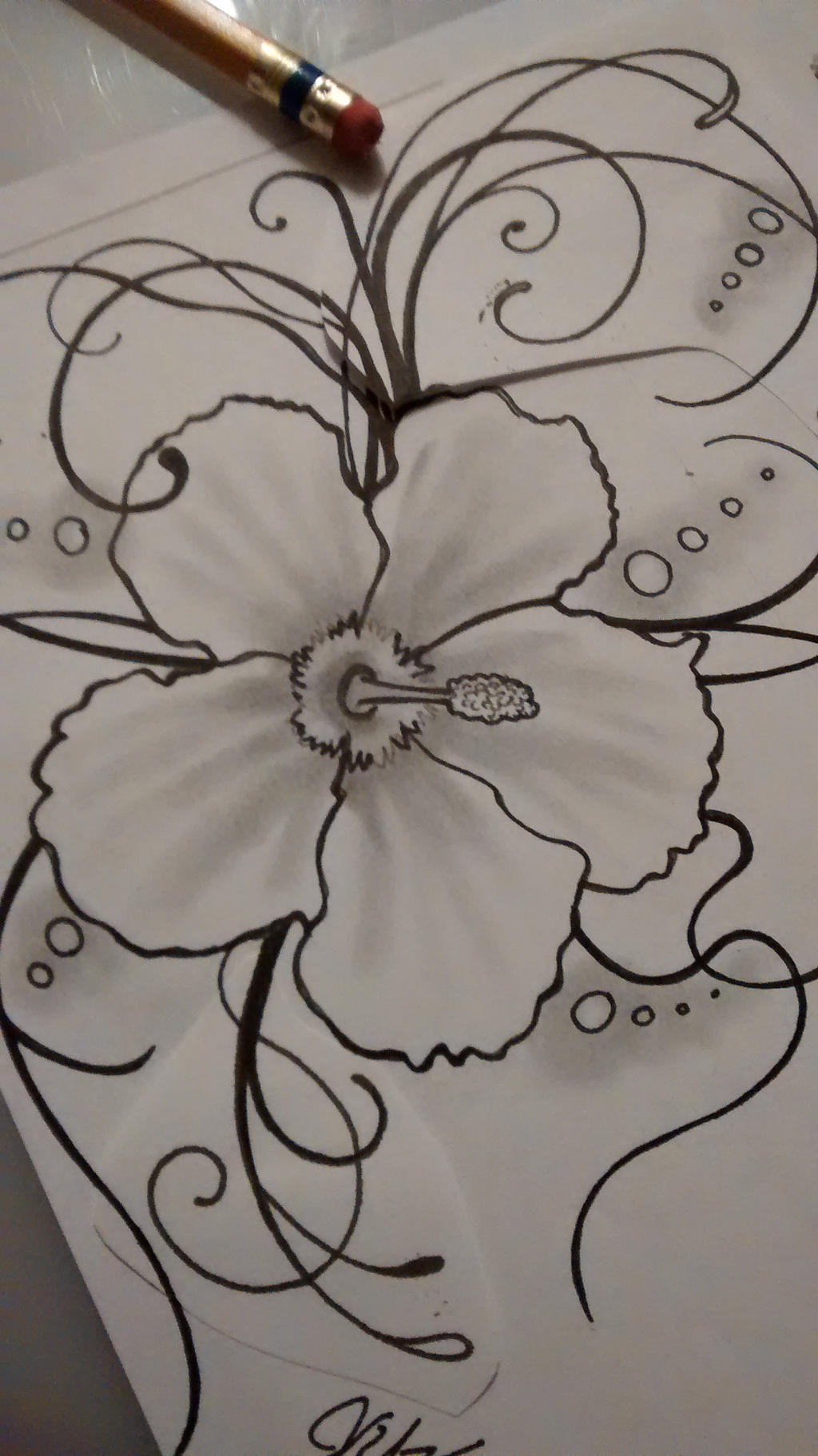 Hibiscus Drawing By Me Ink And Pencil